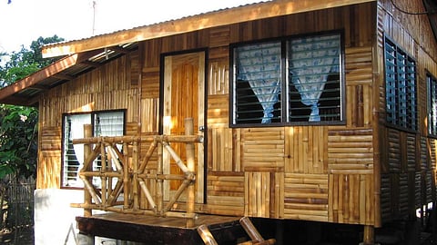 bamboo house