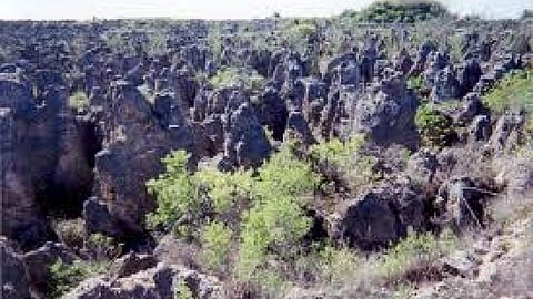 barren land
