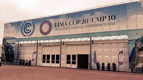 cop 19