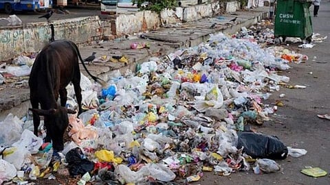 समुद्र के किनारे लगा प्लास्टिक के कचरे का ढेर।