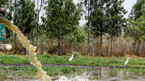 एक्सक्रीटा फ्लो डायग्राम बनाने की ट्रेनिंग