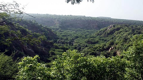 इस तरह गुमराह कर बढ़ाया जा रहा भारत में वन क्षेत्र