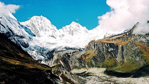 काली बासिंग जैव विविधता पर कैंसर की तरह है।