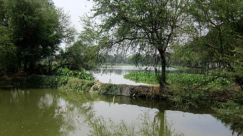 कंक्रीट के जंगलों के लिये जलाशयों की बलि