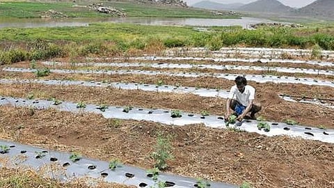 कृषि में जल संरक्षण तकनीकें - एक काव्यात्मक प्रस्तुतीकरण