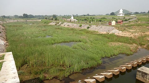 irrigation