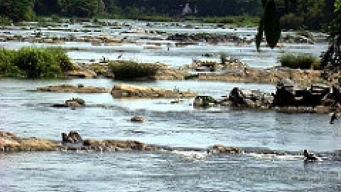kaveri