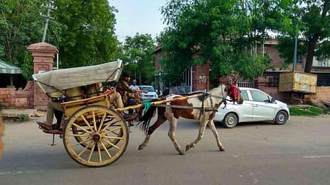 तांगे पहुंचे नैनीताल