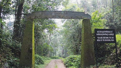 national park