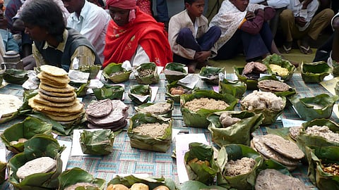 organic food