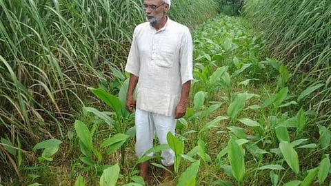 पद्मश्री भारत भूषण बता रहे कैसे करें किसानी