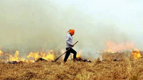 parali
