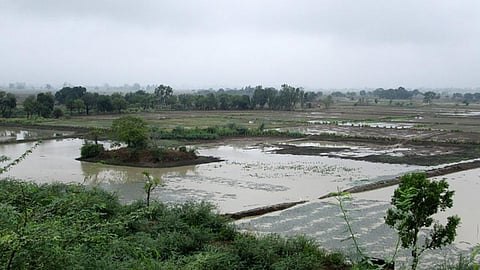 pond