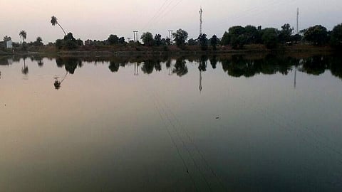 pond