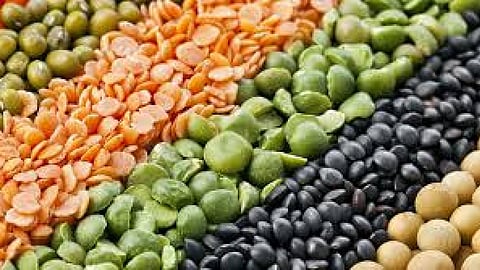pulses