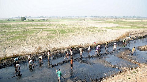 river pollution