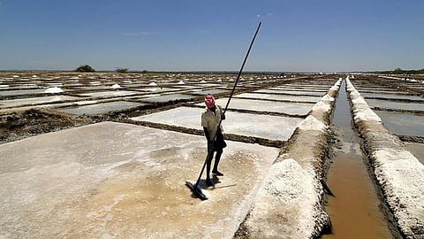 salt