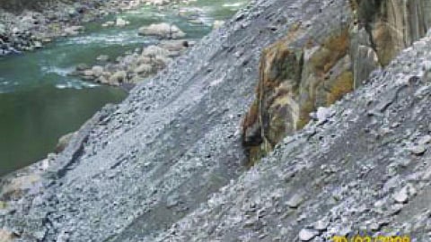हिमाचल के संगठनों ने लोक पर्यावरण दिवस मनाया