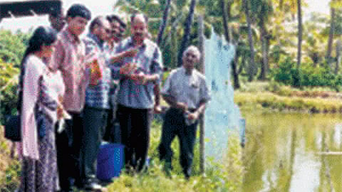 समुद्र कृषि की नई प्रगतियाँ