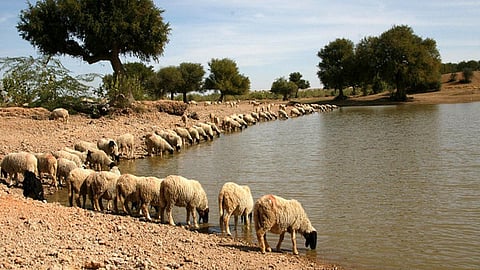 traditional water management