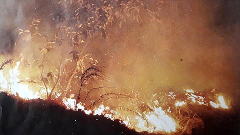 wildfire