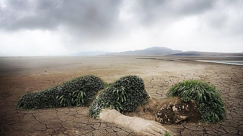 Study reveals the increasing cost of debt caused by climate change