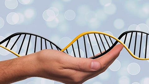 The promise and pitfalls of India’s BioE3 Policy