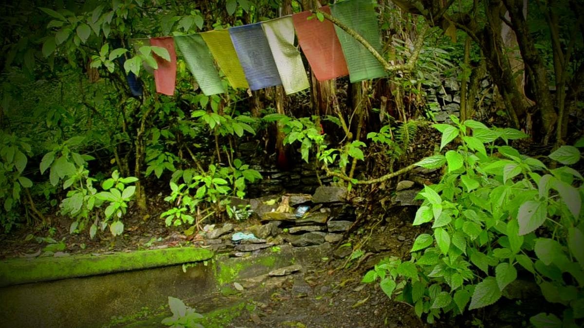 Spring In Sikkim The sacred springs of Sikkim