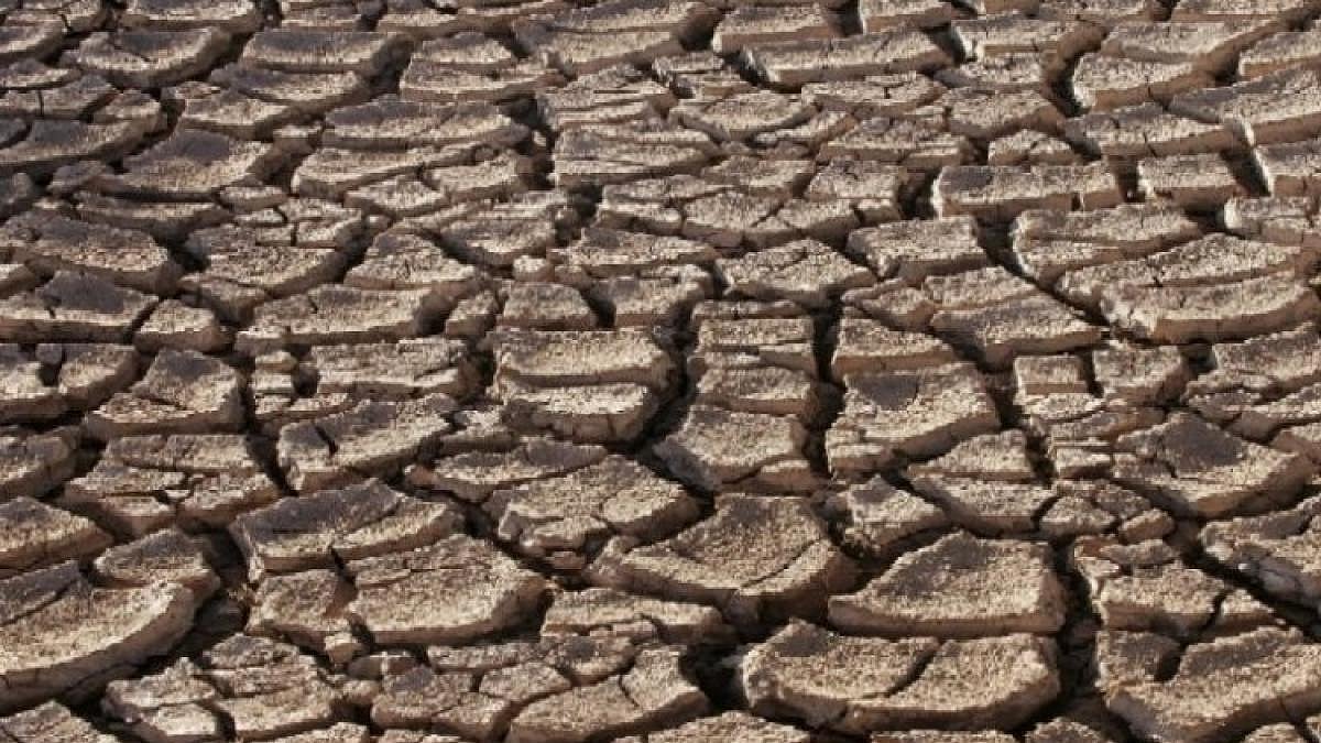 Indian Droughts: Historical Insights on Agriculture and Water ...