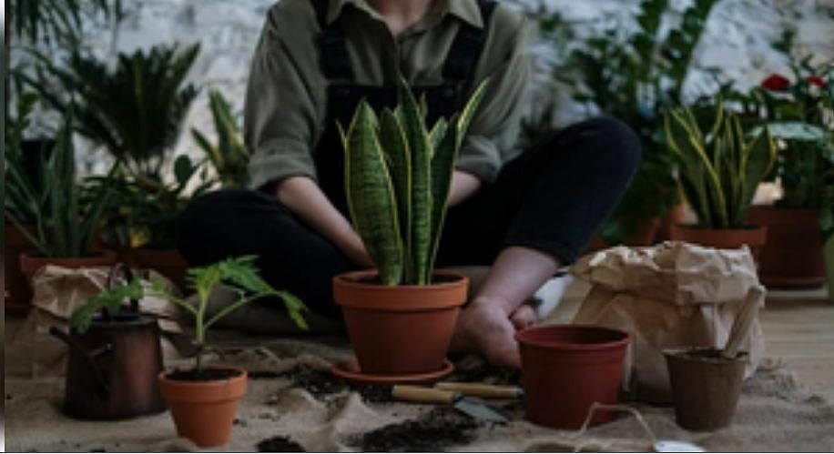 Green energy for millennials - Green Living For Millennials