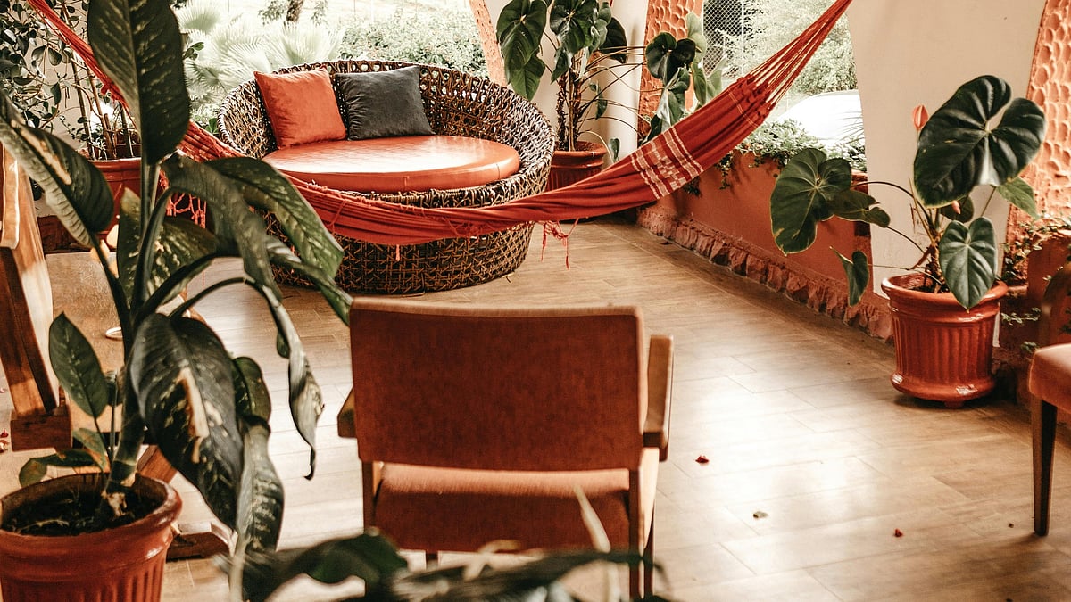 World Environment Day: Décor ideas to give your indoors a green and ...