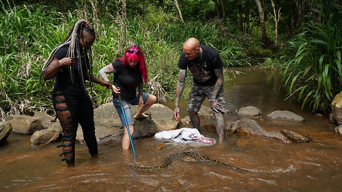 Nat Geo show Snakes in the City's stars Simon Keys and Siouxsie Gillett ...