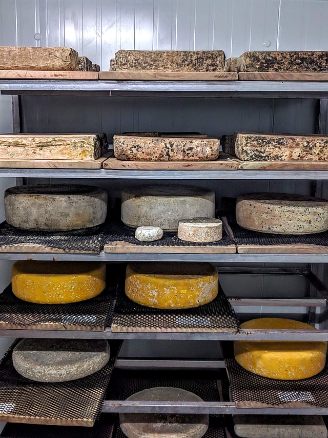 World Cheese Day How these artisanal cheesemakers in India are