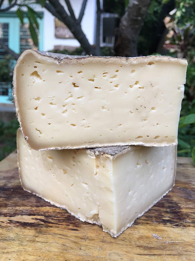 World Cheese Day How these artisanal cheesemakers in India are