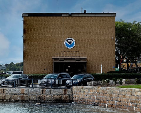 Department of Government Efficiency Lays Off Hundreds at NOAA