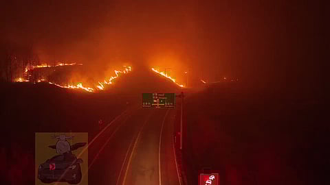 South Korea Wildfires: Country’s Deadliest Blaze on Record