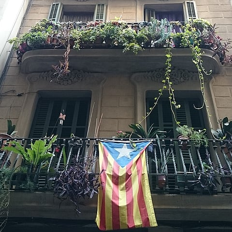 Catalan flag 