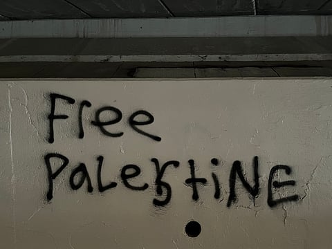 U.S. House to Vote on Resolution Labeling 'Free Palestine' as Anti-Semitic