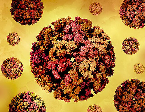 China Battles Unprecedented Chikungunya Outbreak 