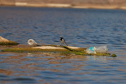 Global Plastics Treaty Talks Collapse Amid Production Cap Deadlock