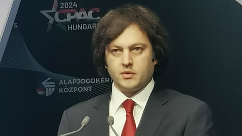 Georgian Prime Minister,  Irakli Kobakhidze 2024.