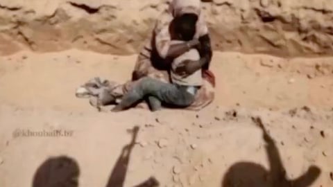 Sudan's El-Fasher Falls to Paramilitaries Amid Reports of Mass Executions