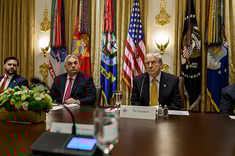 Prime Minister Viktor Orab and President Donald Trump at the White House on November 7th. 