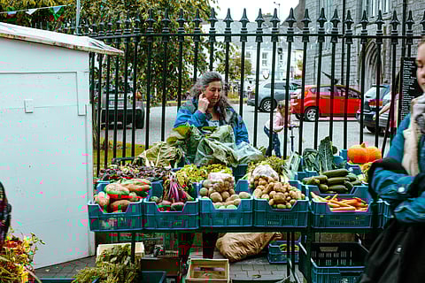 A woman at the farmers market, Galway, Ireland.