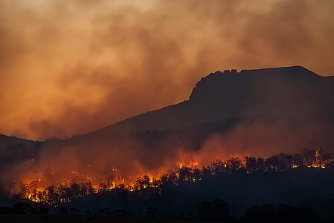 Bushfires below Stacks Bluff, Tasmania, Australia, 2021. (Image for illustrative purposes)