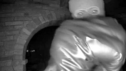 FBI Seeks DNA Match in Abduction of Nancy Guthrie