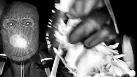 A masked and armed individual tampering with a doorbell camera during the early hours of the morning when Guthrie is believed to have been taken against her will.