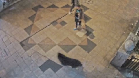 A bear is seen dashing past two pedestrians in a shopping arcade in Utsunomiya, Japan, on Sunday.