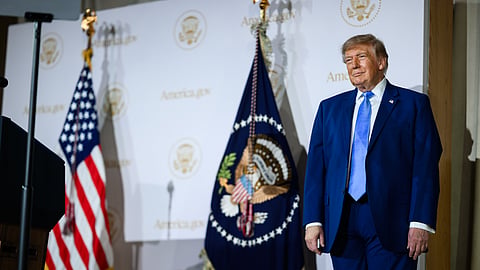 Trump's AI Rebrand Sparks 'Unprecedented' Rush for Slovenian .si Domains