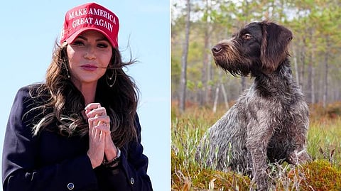 Trump's potential running mate killed Cricket, Now she wants Biden's dog dead